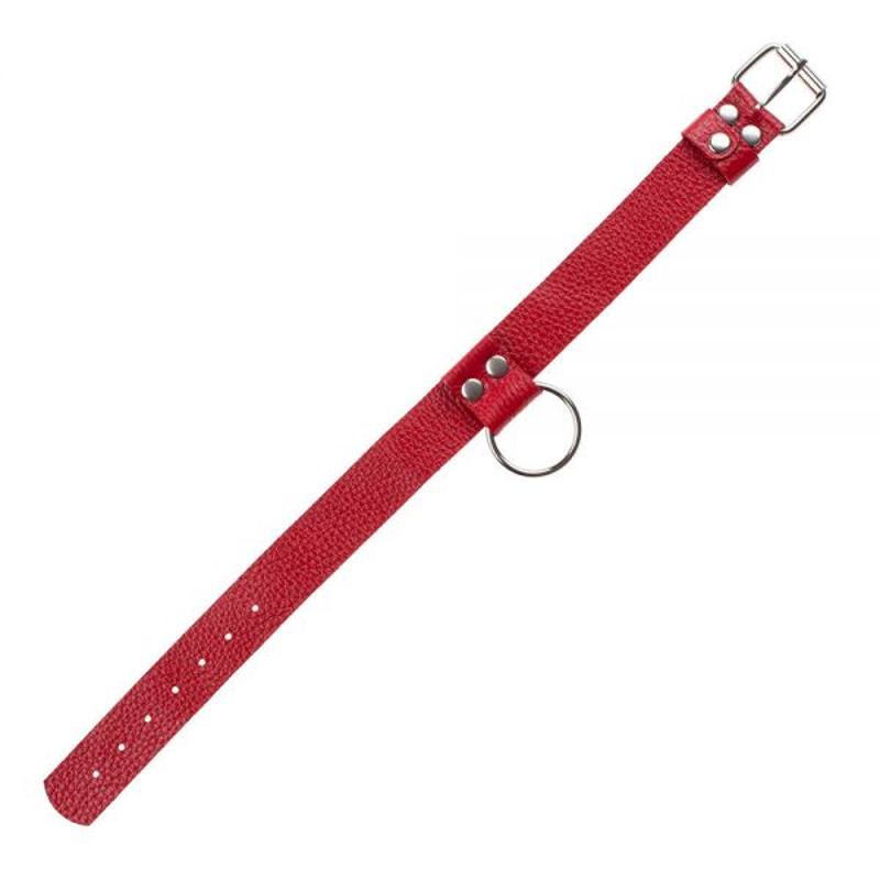 Нашийник Ring of Humiliti Red