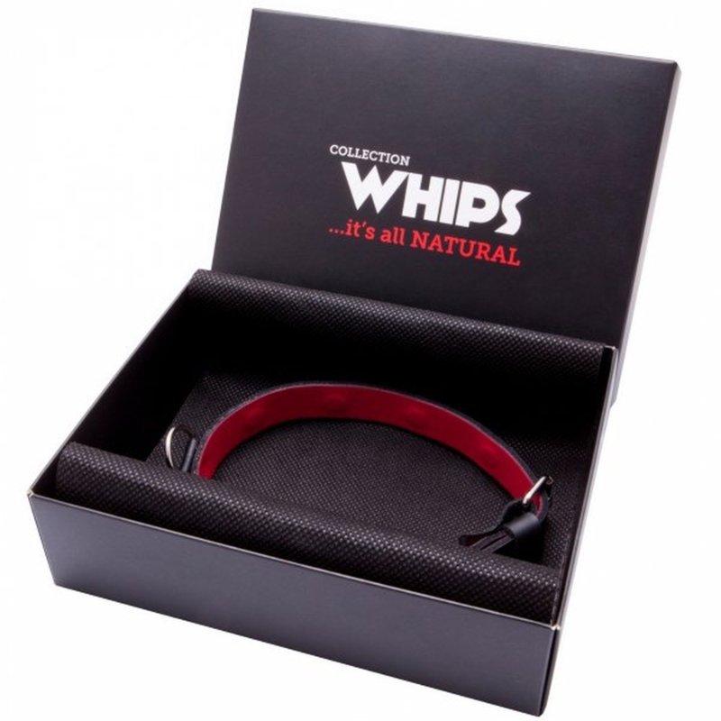 Нашийник - Whips Collection Collar For Her - зображення 1