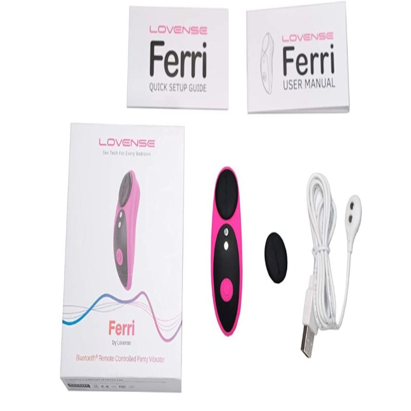 Смарт-вібратор у трусики Lovense Ferri