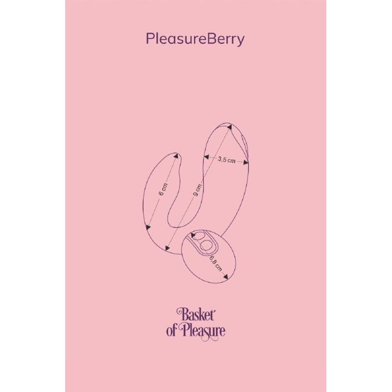 Вібратор для пар FairyGasm PleasureBerry blue, зарядний кейс, пульт ДК