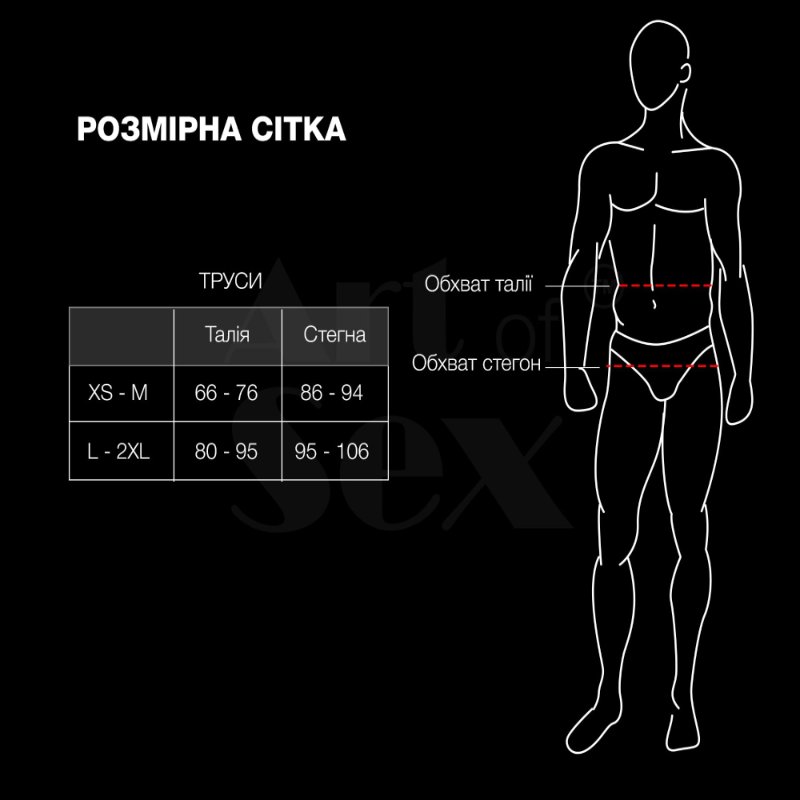 Чоловічі труси з сітки Art of Sex — Demir, колір чорний, розмір L–2XL
