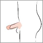 Подовжуюча насадка - Nature Skin Penis Sleeve With Extension - мініатюра 8