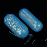 Вагінальні кульки - Ocean's Toner Egg Set III - мініатюра 2