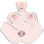 Стимулятор G-точки - G-spot Labia Spreader - мініатюра 3