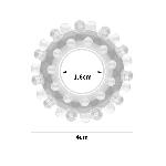 Ерекційне кільце - Power Plus Cockring 2 Clear - мініатюра 2