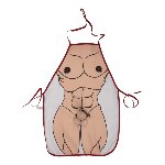 Кухонний фартух з плюшевим пенісом Sexy Apron Male Body With Plush Penis - мініатюра 4
