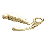 Масажер простати - Pretty Love Jack Zink Alloy Prostate Massager - мініатюра 3