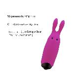 Віброкуля Adrien Lastic Pocket Vibe Rabbit Pink зі стимулювальними вушками - мініатюра 4