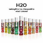 Змазка на водній основі JO H2O — Raspberry Sorbet (30 мл) без цукру, рослинний гліцерин - мініатюра 5