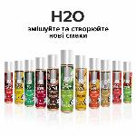 Змазка на водній основі JO H2O — Green Apple (30 мл) без цукру, рослинний гліцерин - мініатюра 5