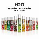 Змазка на водній основі JO H2O — Green Apple (120 мл) без цукру, рослинний гліцерин - мініатюра 5