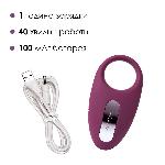 Ерекційне кільце з вібрацією та пультом ДК Svakom Winni Violet - мініатюра 4