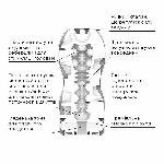 Мастурбатор Tenga Premium Air Flow Cup, 24 повітряні камери всередині - мініатюра 6