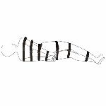 Ремені для бондажу Art of Sex - BDSM Bondage Black Night Simple - мініатюра 6