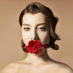 Розкішний кляп у вигляді троянди Zalo - Rose Ball Gag, подвійне використання - мініатюра 6