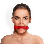 Кляп-палиця на ременях Art of Sex – Gag Stick Silicon, червоний, натуральна шкіра - мініатюра 1