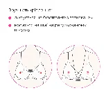 Смарт-вібратор для грудей Lovense Gemini, регулювання стискання соска, можна носити - мініатюра 13