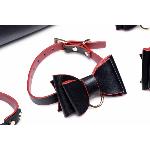 Набір БДСМ з дорожньою сумкою Master Series: Bow — Luxury BDSM Set With Travel Bag, 11 предметів - мініатюра 7