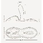 Sit-on-top смарт-вібратор Zalo – Flora Smart Vibrating Pad Obsidian Black, 9 моторів - мініатюра 4