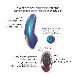 Вакуумний кліторальний стимулятор Love To Love DREAMER – IRIDESCENT TURQUOISE, пестощі язичком,пульт - мініатюра 6