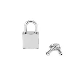 Замочок Liebe Seele Regular Padlock Silver (2 шт) - мініатюра 1
