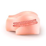 Смоктальна вагіна-мастурбатор Real Body Real Sophia, вагіна та анус, з вібрацією і звуком - мініатюра 8