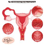 Мастурбатор Kokos 004 Vailla ONAHOLE Real Vagina - мініатюра 12