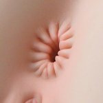 Мастурбатор-попка Naked Factory NICOLE, вагіна + анус, дуже реалістичний, наскрізний - мініатюра 8