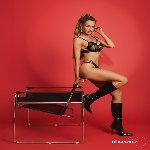 Комплект Obsessive Dominna 2-pcs set 2XL/3XL - мініатюра 6