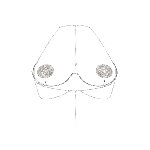 Прикраса на груди Obsessive Kisselie jewelry bra - мініатюра 3