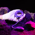 Ерекційне віброкільце з віброяйцем Hueman - Eclipse Anal Vibrator - мініатюра 10