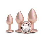 Набір анальних пробок NS Novelties Rear Assets - Trainer Kit - Iridescent Champagne - Clear Gem - мініатюра 1