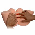 Реалистичное тело-торс Anica Solid Silicone Sexy Doll   L анус-вагина без вибрации телесный - мініатюра 5